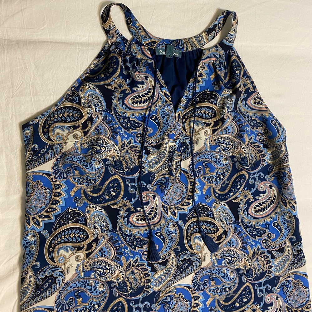 Blue Paisley Dress